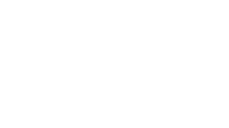 PASSTA Ingenieurgesellschaft mbh Logo