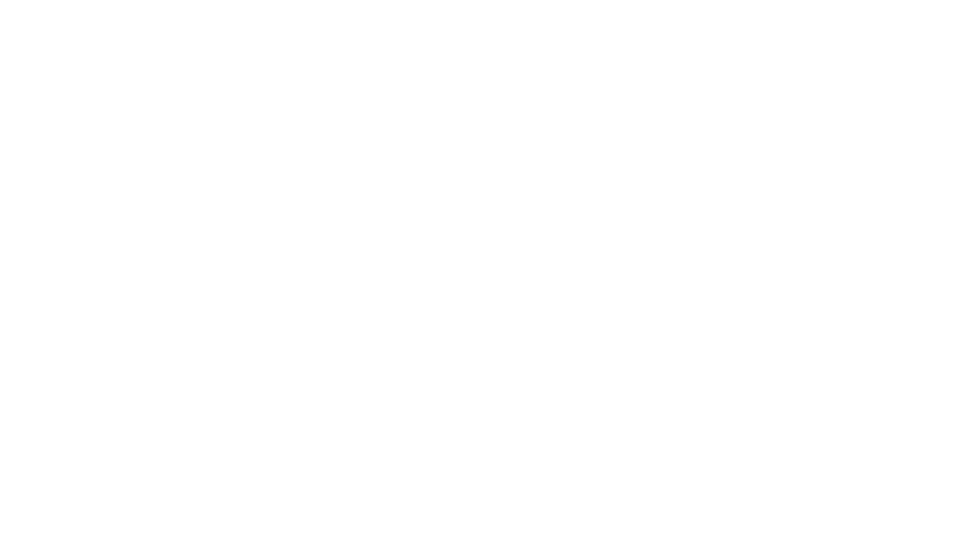 Dr. Schoppa Logo